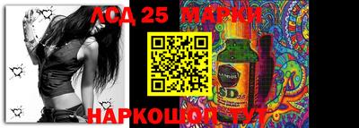 индика Владимир