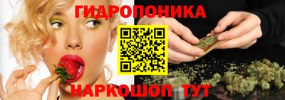 стафф Владивосток