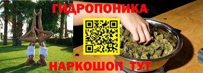 стафф Владивосток