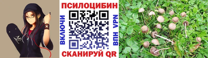Псилоцибиновые грибы MAGIC MUSHROOMS  купить  цена  MEGA как войти  Видное 