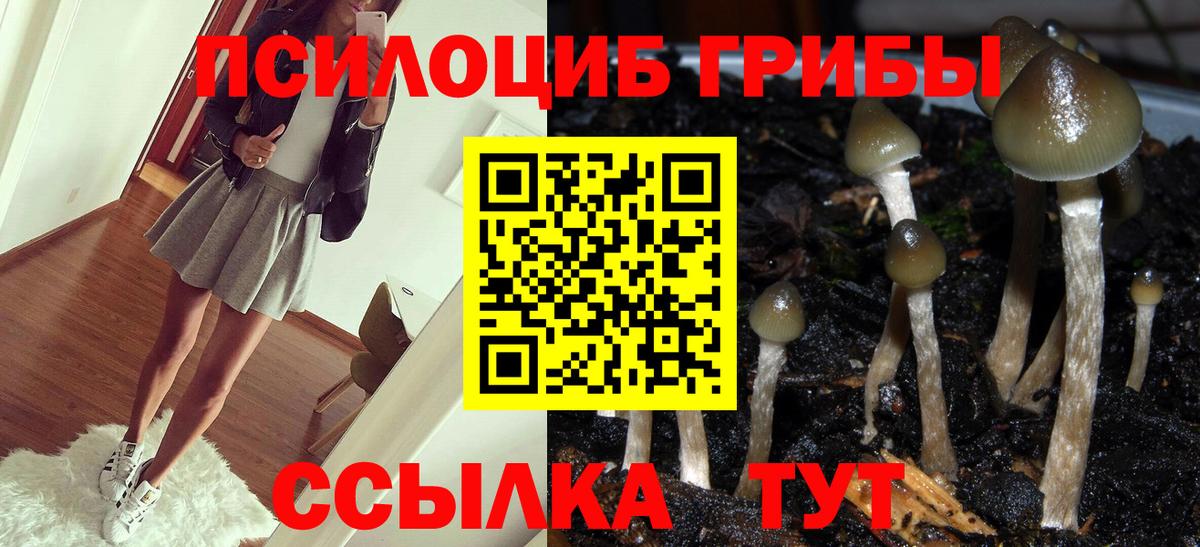 Псилоцибиновые грибы GOLDEN TEACHER Видное