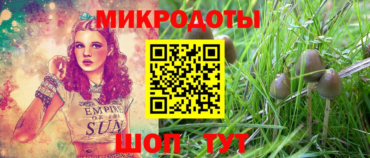 Галлюциногенные грибы прущие грибы  Псилоцибиновые грибы MAGIC MUSHROOMS  Видное  Вход с VPN 